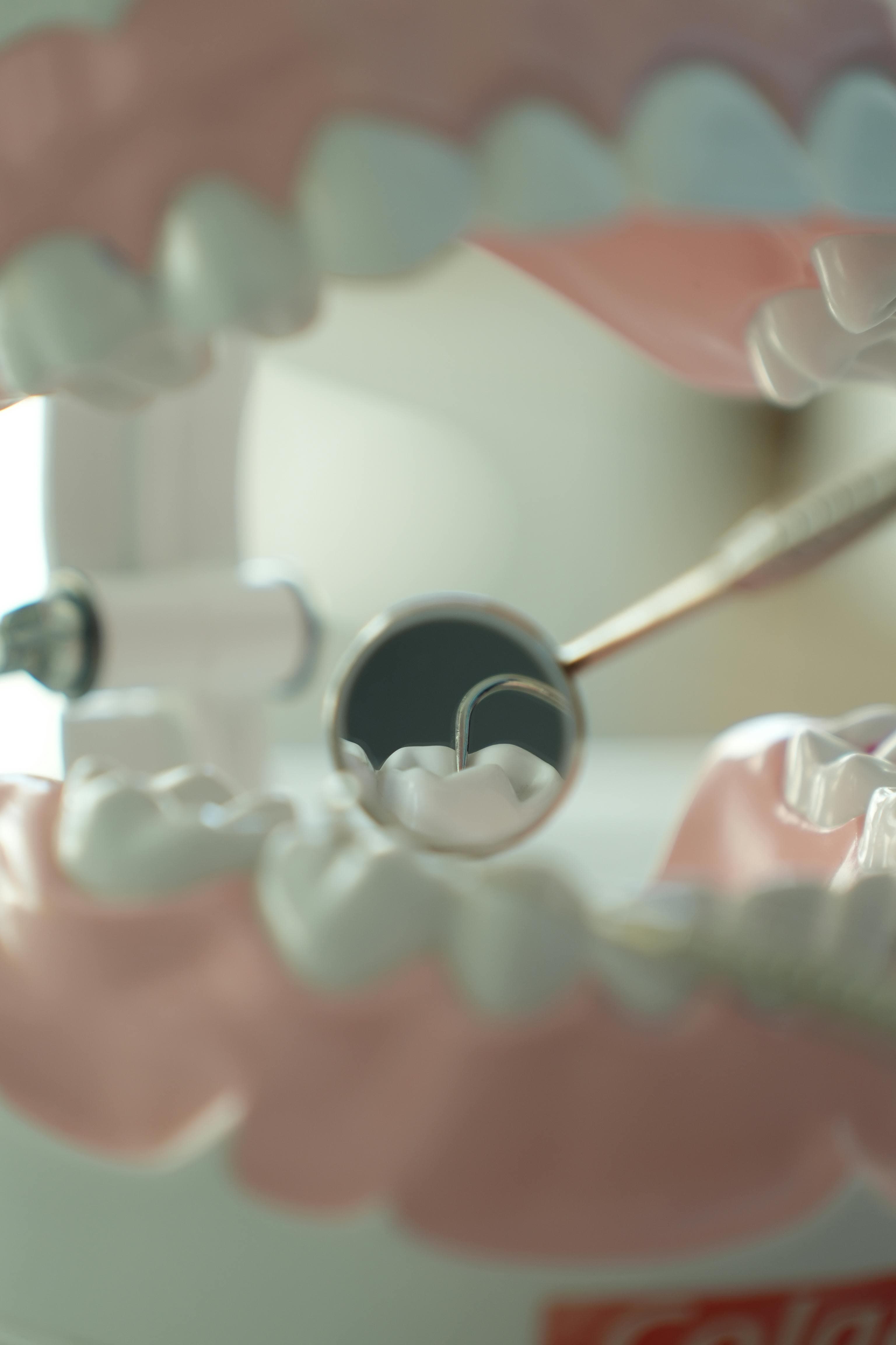 Endodoncia